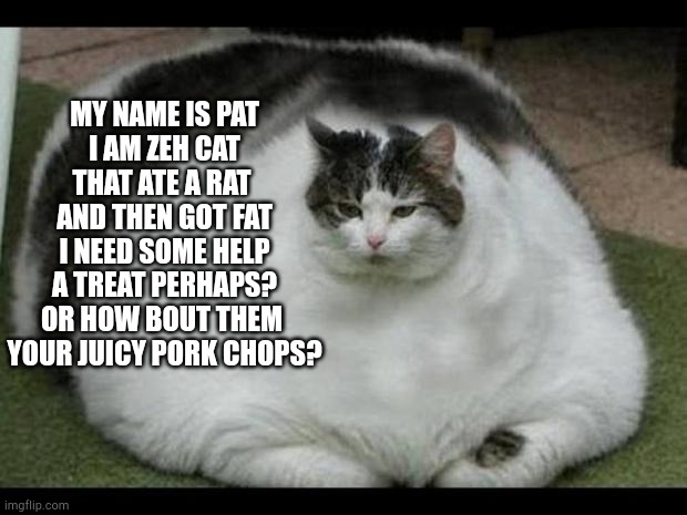 fat cat 2 | MY NAME IS PAT
I AM ZEH CAT
THAT ATE A RAT 
AND THEN GOT FAT
I NEED SOME HELP
A TREAT PERHAPS?
OR HOW BOUT THEM 
YOUR JUICY PORK CHOPS? | image tagged in fat cat 2 | made w/ Imgflip meme maker