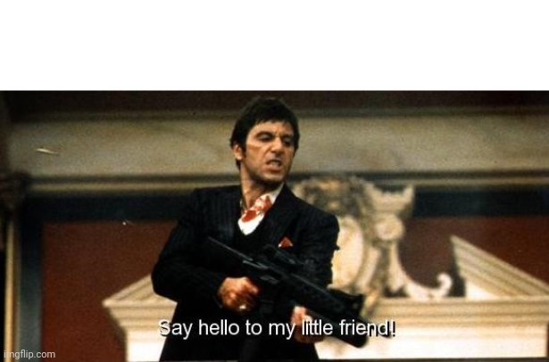 Say hello to my little friend | image tagged in say hello to my little friend | made w/ Imgflip meme maker