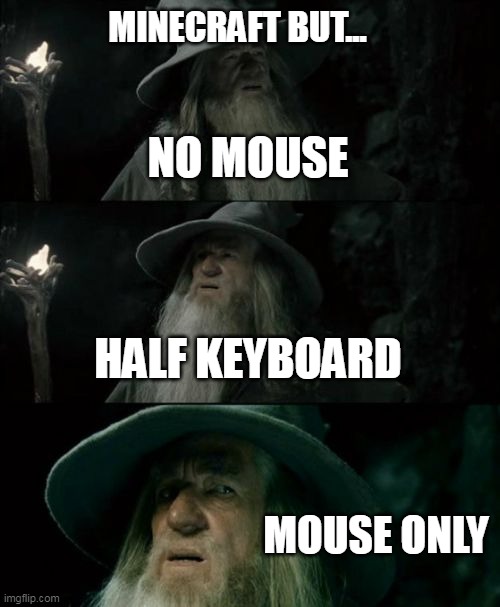 how | MINECRAFT BUT... NO MOUSE; HALF KEYBOARD; MOUSE ONLY | image tagged in memes,confused gandalf | made w/ Imgflip meme maker