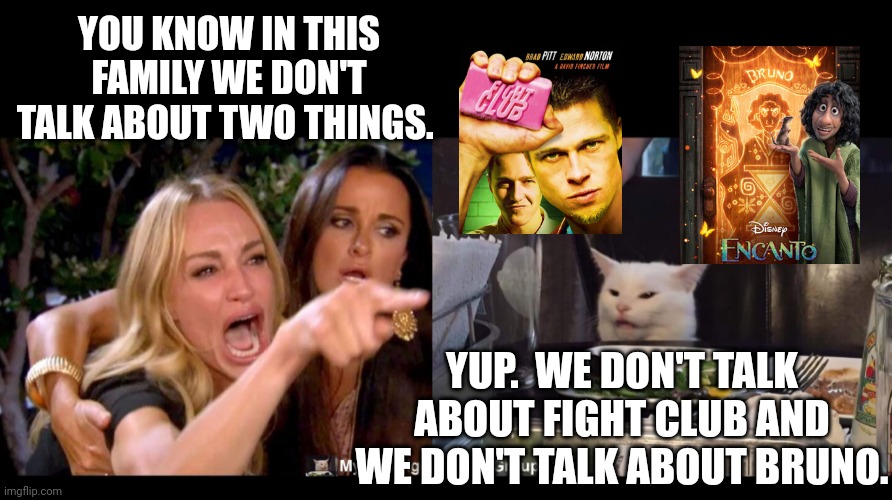 YOU KNOW IN THIS FAMILY WE DON'T TALK ABOUT TWO THINGS. YUP.  WE DON'T TALK ABOUT FIGHT CLUB AND WE DON'T TALK ABOUT BRUNO. | image tagged in smudge the cat | made w/ Imgflip meme maker