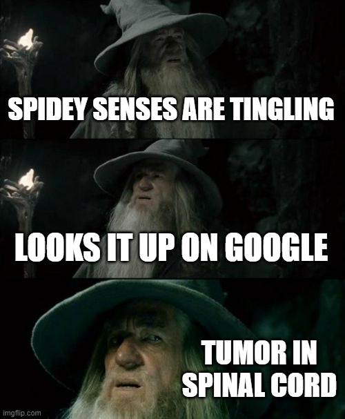 Confused Gandalf Meme | SPIDEY SENSES ARE TINGLING; LOOKS IT UP ON GOOGLE; TUMOR IN SPINAL CORD | image tagged in memes,confused gandalf | made w/ Imgflip meme maker