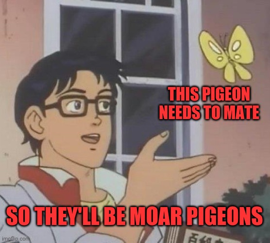 Moar | THIS PIGEON NEEDS TO MATE; SO THEY'LL BE MOAR PIGEONS | image tagged in memes,is this a pigeon,mate,reproduced,knock boots | made w/ Imgflip meme maker