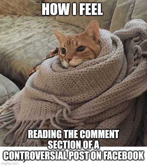Cozy Cat | HOW I FEEL; READING THE COMMENT SECTION OF A CONTROVERSIAL POST ON FACEBOOK | image tagged in cozy cat | made w/ Imgflip meme maker