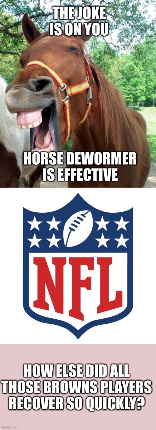 Think about it. Maybe Aaron Rogers experience had some influence. A little secret! | THE JOKE IS ON YOU; HORSE DEWORMER IS EFFECTIVE; HOW ELSE DID ALL THOSE BROWNS PLAYERS RECOVER SO QUICKLY? | image tagged in laughing horse,horse dewormer,effective,nfl,browns | made w/ Imgflip meme maker