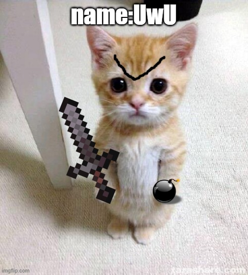 Cute Cat Meme | name:UwU | image tagged in memes,cute cat | made w/ Imgflip meme maker