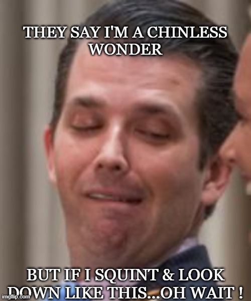 chinless wonder | THEY SAY I'M A CHINLESS
WONDER; BUT IF I SQUINT & LOOK DOWN LIKE THIS...OH WAIT ! | image tagged in donald trump jr face | made w/ Imgflip meme maker