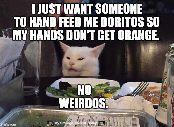 I JUST WANT SOMEONE TO HAND FEED ME DORITOS SO MY HANDS DON'T GET ORANGE. NO WEIRDOS. | image tagged in smudge the cat | made w/ Imgflip meme maker