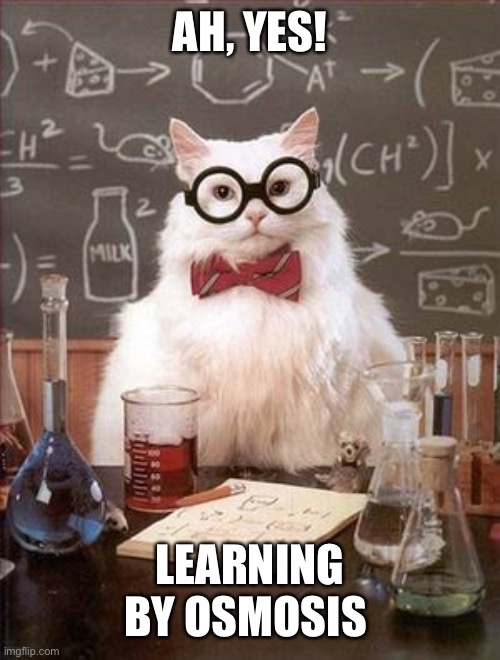 Science Cat Good Day | AH, YES! LEARNING BY OSMOSIS | image tagged in science cat good day | made w/ Imgflip meme maker