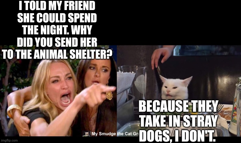 I TOLD MY FRIEND SHE COULD SPEND THE NIGHT. WHY DID YOU SEND HER TO THE ANIMAL SHELTER? BECAUSE THEY TAKE IN STRAY DOGS, I DON'T. | image tagged in smudge the cat | made w/ Imgflip meme maker