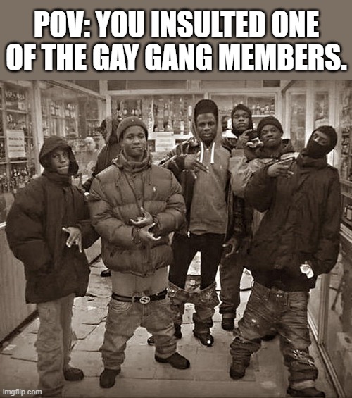 All My Homies Hate | POV: YOU INSULTED ONE OF THE GAY GANG MEMBERS. | image tagged in all my homies hate | made w/ Imgflip meme maker