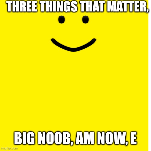 N.U.B Empire | THREE THINGS THAT MATTER, BIG NOOB, AM NOW, E | image tagged in roblox noob | made w/ Imgflip meme maker