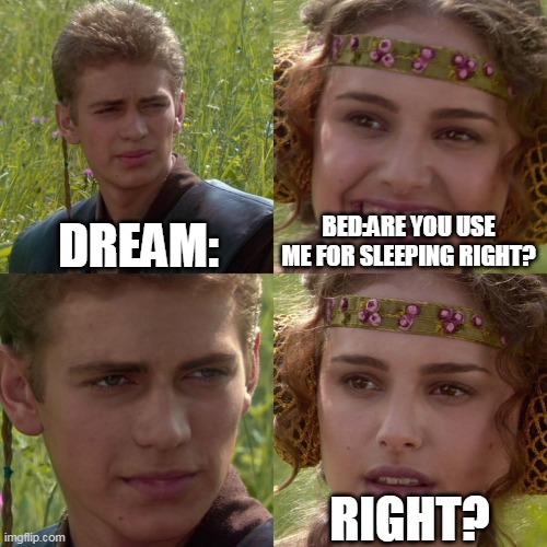 dream | DREAM:; BED:ARE YOU USE ME FOR SLEEPING RIGHT? RIGHT? | image tagged in anakin padme 4 panel | made w/ Imgflip meme maker