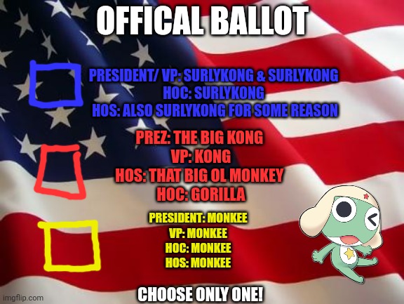 American flag | OFFICAL BALLOT CHOOSE ONLY ONE! PRESIDENT/ VP: SURLYKONG & SURLYKONG 
HOC: SURLYKONG 
HOS: ALSO SURLYKONG FOR SOME REASON PRESIDENT: MONKEE
 | image tagged in american flag | made w/ Imgflip meme maker