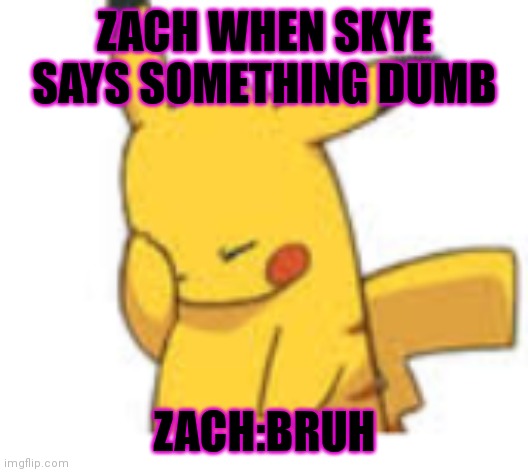 Bruh | ZACH WHEN SKYE SAYS SOMETHING DUMB; ZACH:BRUH | image tagged in pikachu facepalm | made w/ Imgflip meme maker