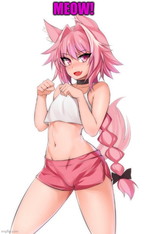 MEOW! | made w/ Imgflip meme maker