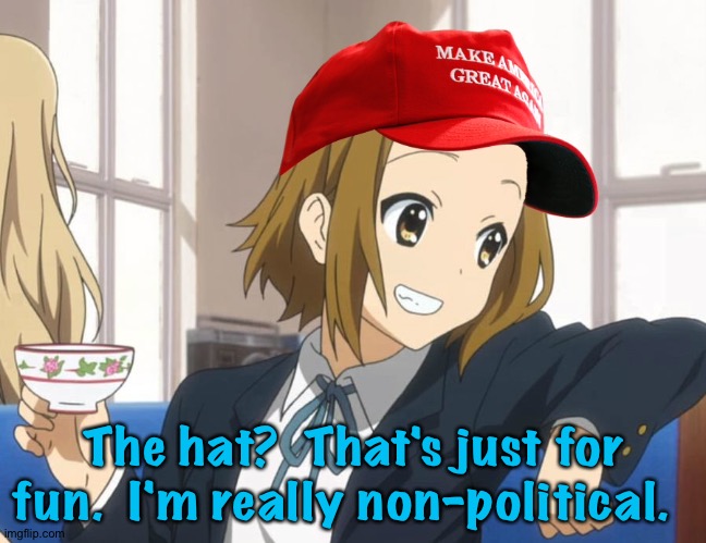 Playing it safe | The hat?  That's just for fun.  I'm really non-political. | image tagged in blank red maga hat | made w/ Imgflip meme maker