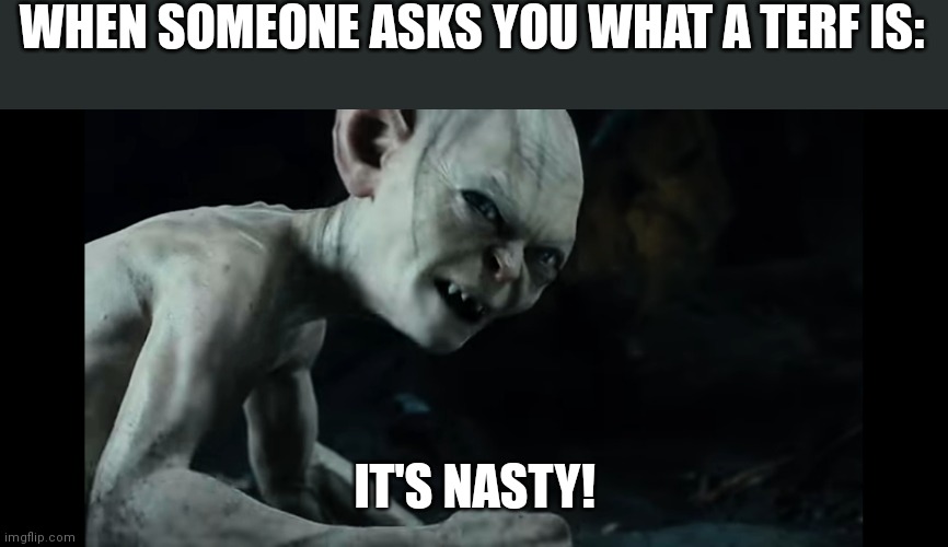 Nasty Terfses | WHEN SOMEONE ASKS YOU WHAT A TERF IS:; IT'S NASTY! | image tagged in memes,gollum,smeagol,the hobbit,riddle | made w/ Imgflip meme maker