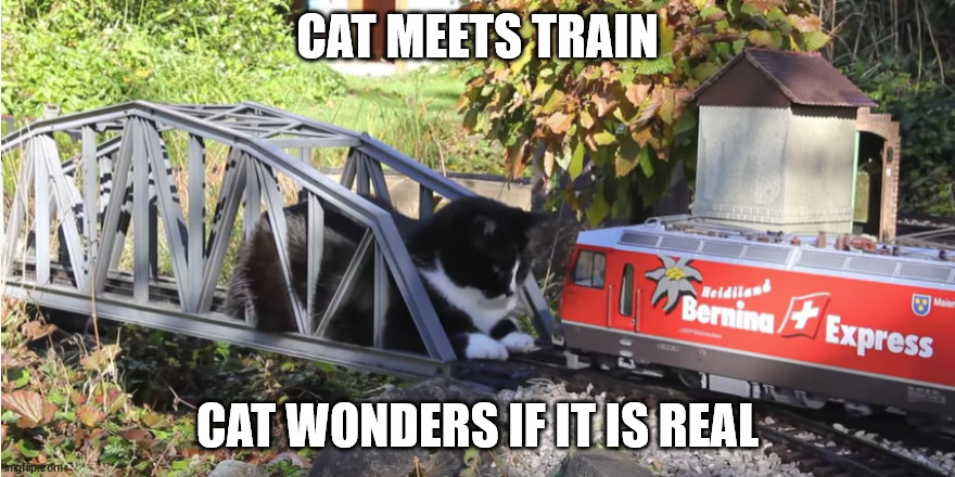 Cat versus train | CAT MEETS TRAIN; CAT WONDERS IF IT IS REAL | image tagged in cats,toy train,trains | made w/ Imgflip meme maker