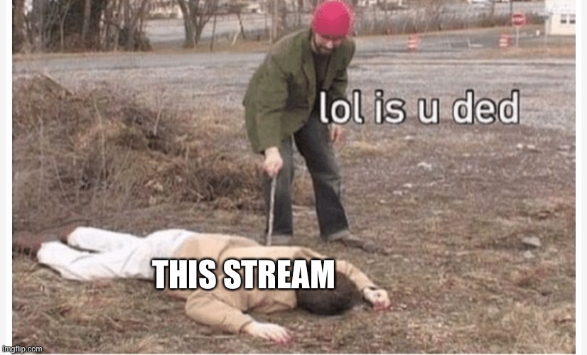 Mod note: no | THIS STREAM | image tagged in lol is u ded | made w/ Imgflip meme maker
