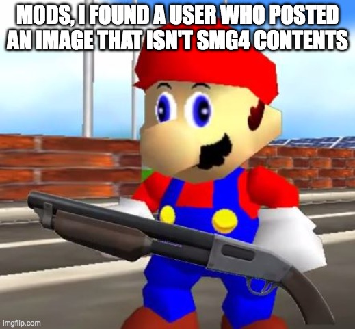SMG4 Shotgun Mario | MODS, I FOUND A USER WHO POSTED AN IMAGE THAT ISN'T SMG4 CONTENTS | image tagged in smg4 shotgun mario | made w/ Imgflip meme maker