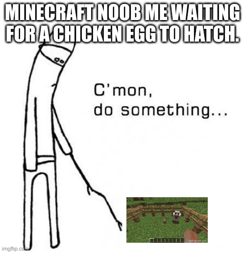 cmon do something | MINECRAFT NOOB ME WAITING FOR A CHICKEN EGG TO HATCH. | image tagged in cmon do something | made w/ Imgflip meme maker