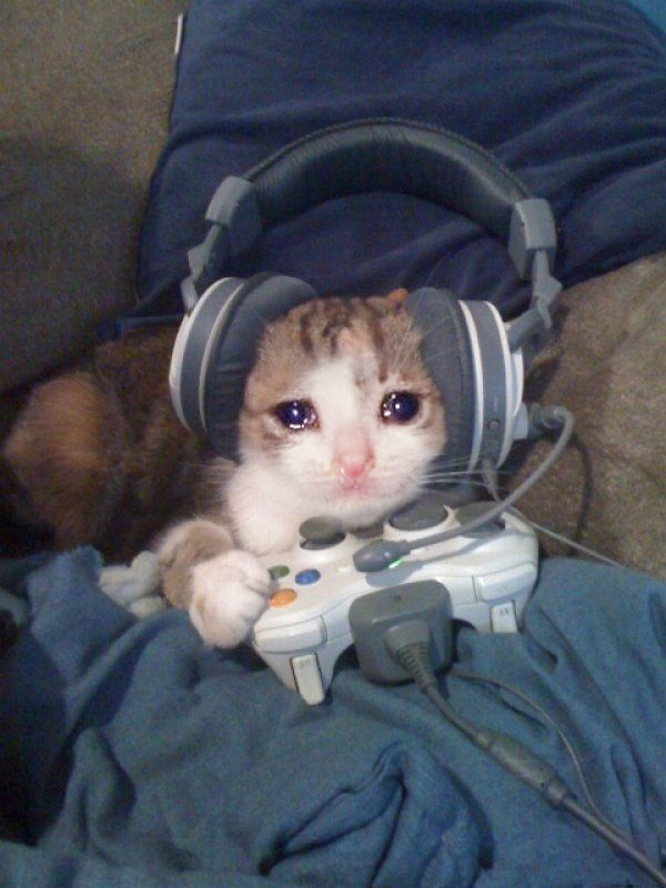 Sad Gamer cat with headphones crying while playing video games Blank Meme Template