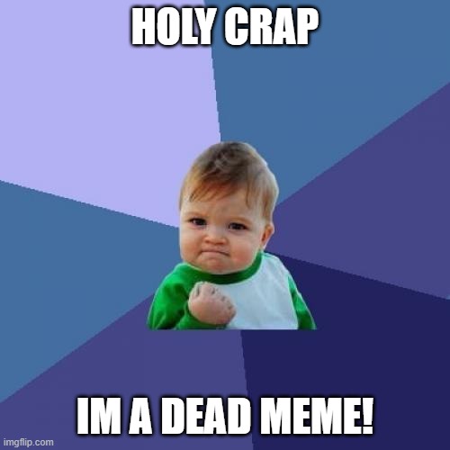 dead meme | HOLY CRAP; IM A DEAD MEME! | image tagged in memes,success kid | made w/ Imgflip meme maker