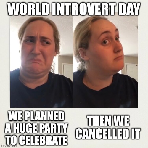 World Introvert Day | WORLD INTROVERT DAY; THEN WE CANCELLED IT; WE PLANNED A HUGE PARTY TO CELEBRATE | image tagged in introvert | made w/ Imgflip meme maker