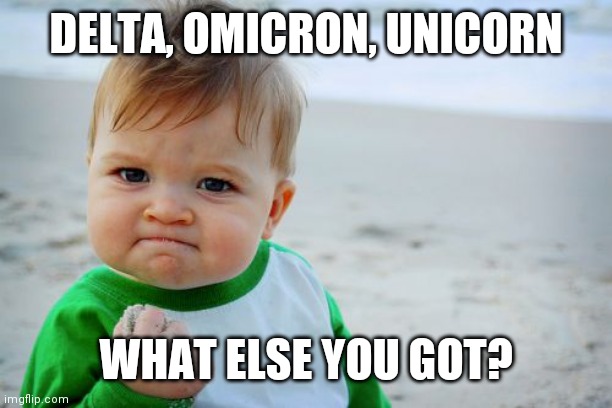 Success Kid Original Meme | DELTA, OMICRON, UNICORN WHAT ELSE YOU GOT? | image tagged in memes,success kid original | made w/ Imgflip meme maker