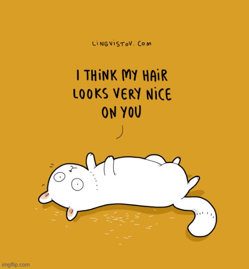 A Cat's Way Of Thinking | image tagged in memes,comics,cats,hair,who wore it better,looks good to me | made w/ Imgflip meme maker