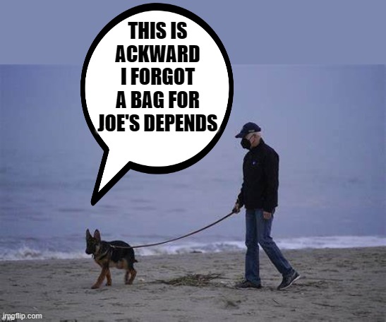 yep | THIS IS ACKWARD I FORGOT A BAG FOR JOE'S DEPENDS | image tagged in democrats | made w/ Imgflip meme maker