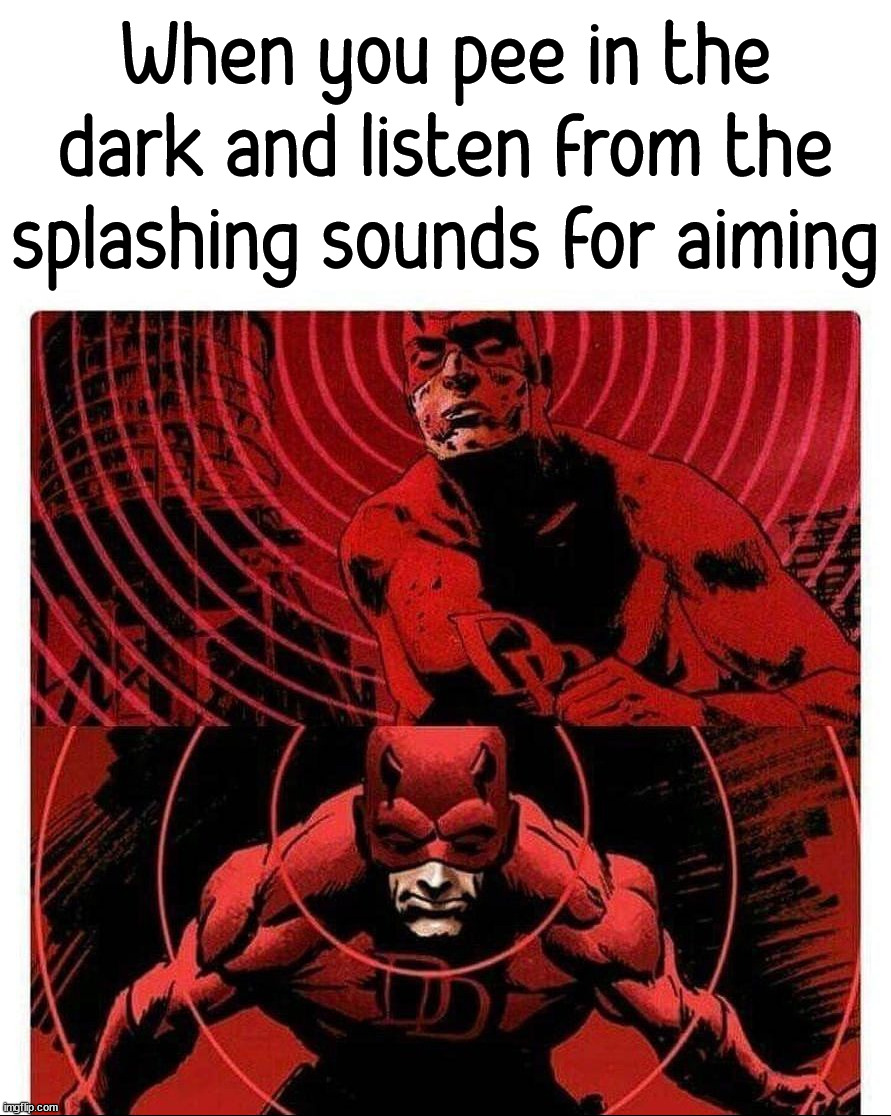 When sound is important so you become a bat. |  When you pee in the dark and listen from the splashing sounds for aiming | image tagged in daredevil sense,bathroom humor,toilet,toilet humor | made w/ Imgflip meme maker