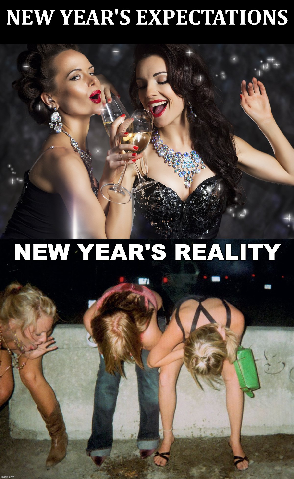NEW YEAR'S EXPECTATIONS; NEW YEAR'S REALITY | image tagged in new years eve | made w/ Imgflip meme maker