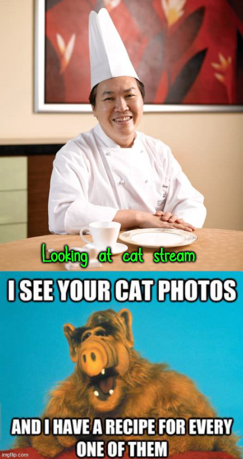 Looking at cat stream | image tagged in chinese cook,dark humor | made w/ Imgflip meme maker