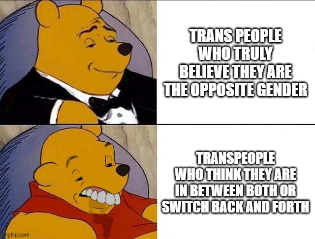 this mutual opinion is coming from a conservative by the way | TRANS PEOPLE WHO TRULY BELIEVE THEY ARE THE OPPOSITE GENDER; TRANSPEOPLE WHO THINK THEY ARE IN BETWEEN BOTH OR SWITCH BACK AND FORTH | image tagged in tuxedo winnie the pooh grossed reverse | made w/ Imgflip meme maker