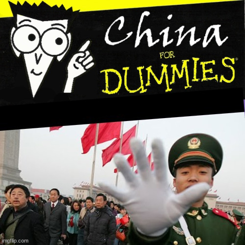 China for Dummies Blank Meme Template