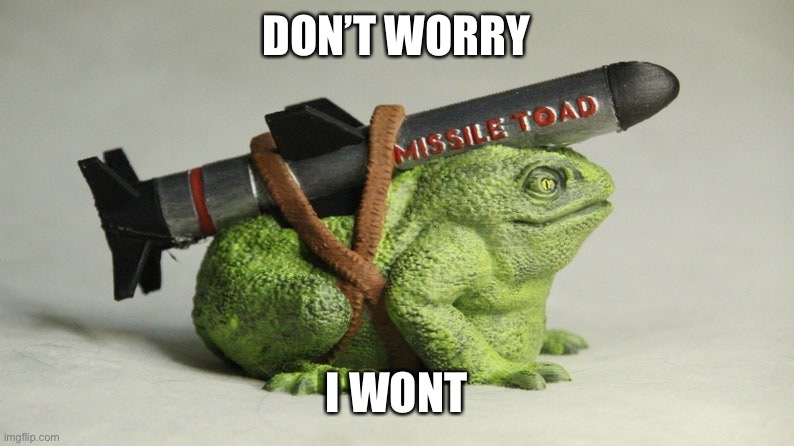 Missile Toad | DON’T WORRY I WON’T | image tagged in missile toad | made w/ Imgflip meme maker