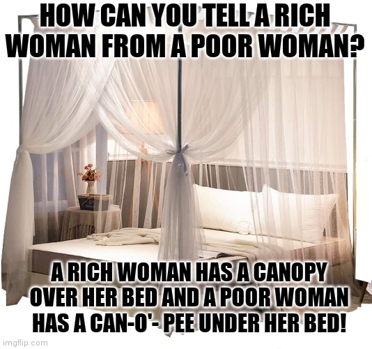 Truth! | HOW CAN YOU TELL A RICH WOMAN FROM A POOR WOMAN? A RICH WOMAN HAS A CANOPY OVER HER BED AND A POOR WOMAN HAS A CAN-O'- PEE UNDER HER BED! | image tagged in bed | made w/ Imgflip meme maker