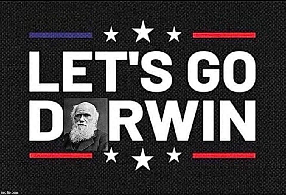Let’s go Darwin | image tagged in let s go darwin | made w/ Imgflip meme maker