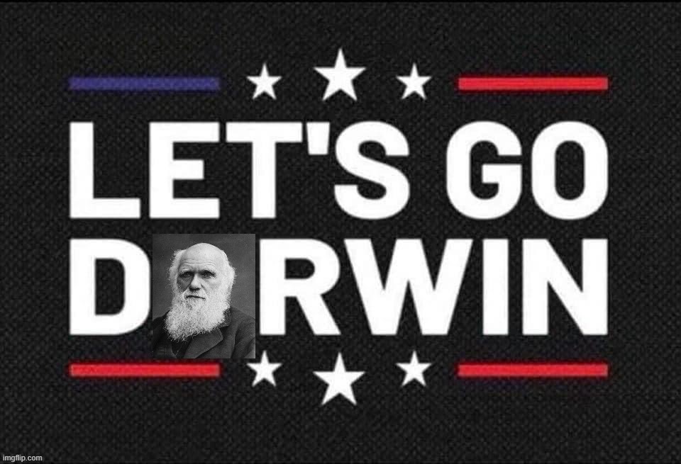 - Let's go Darwin - | image tagged in let s go darwin,lets,go,darwin,dar,win | made w/ Imgflip meme maker