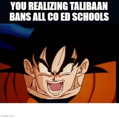 Crosseyed Goku Meme | YOU REALIZING TALIBAAN BANS ALL CO ED SCHOOLS | image tagged in memes,crosseyed goku | made w/ Imgflip meme maker