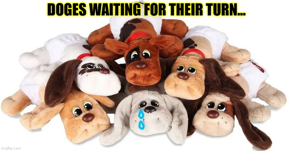 Pound Puppies Blank Meme Template