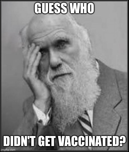 Let's go Darwin! | GUESS WHO; DIDN'T GET VACCINATED? | image tagged in darwin facepalm | made w/ Imgflip meme maker