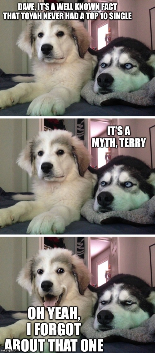 Bad pun dogs | DAVE, IT’S A WELL KNOWN FACT THAT TOYAH NEVER HAD A TOP 10 SINGLE; IT’S A MYTH, TERRY; OH YEAH, I FORGOT ABOUT THAT ONE | image tagged in bad pun dogs | made w/ Imgflip meme maker