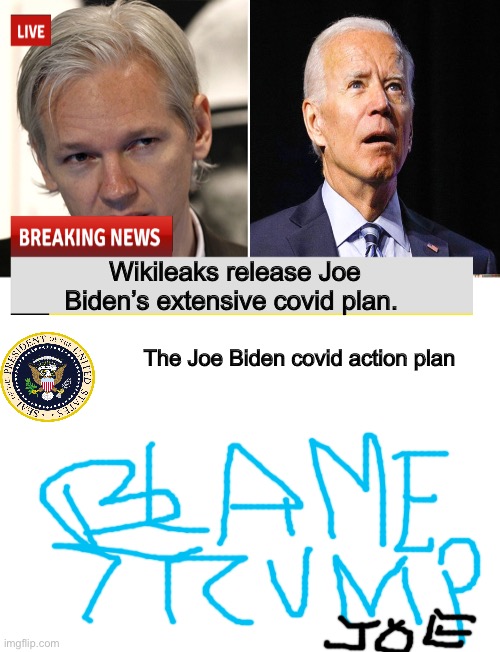 I hope Joe got his ice cream after all that hard work | Wikileaks release Joe Biden’s extensive covid plan. The Joe Biden covid action plan | image tagged in wiki leaks,blank white template,memes,politics lol | made w/ Imgflip meme maker