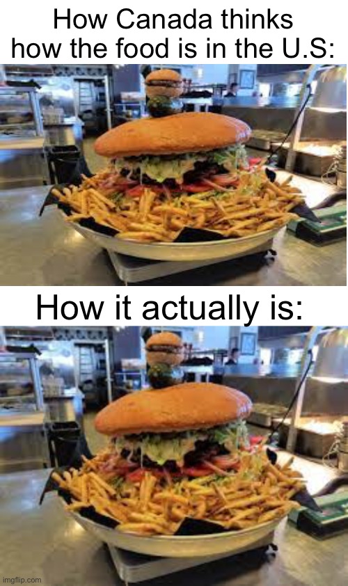 Yea who going to eat that, one person? | How Canada thinks how the food is in the U.S:; How it actually is: | image tagged in wow,a big,burger | made w/ Imgflip meme maker