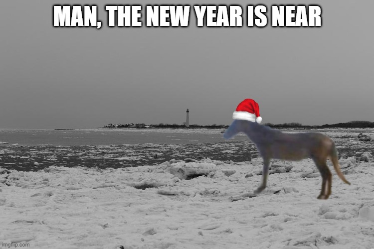 Man New year edition | MAN, THE NEW YEAR IS NEAR | image tagged in happy new year,man,memes | made w/ Imgflip meme maker