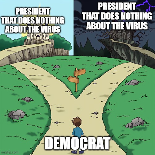 two castles | PRESIDENT THAT DOES NOTHING ABOUT THE VIRUS; PRESIDENT THAT DOES NOTHING ABOUT THE VIRUS; DEMOCRAT | image tagged in two castles | made w/ Imgflip meme maker