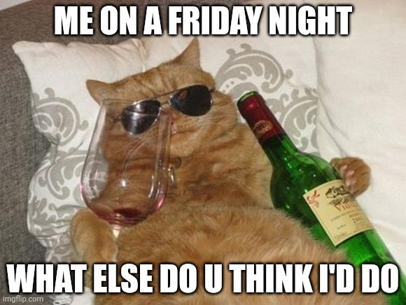 Funny Cat Birthday | ME ON A FRIDAY NIGHT; WHAT ELSE DO U THINK I'D DO | image tagged in funny cat birthday | made w/ Imgflip meme maker