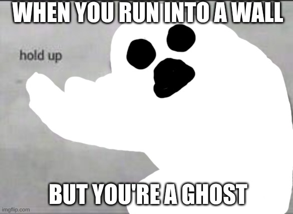 Fallout Hold Up | WHEN YOU RUN INTO A WALL; BUT YOU'RE A GHOST | image tagged in fallout hold up | made w/ Imgflip meme maker